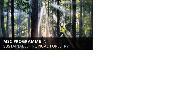 Master Erasmus Mundus sustainable tropical forestry 